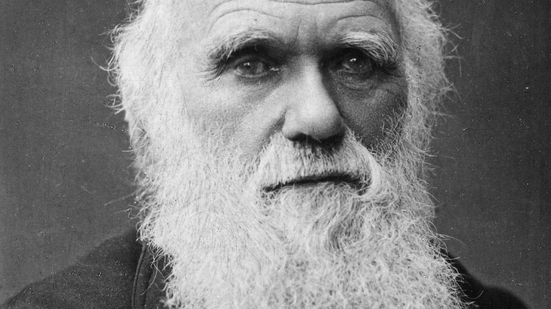 Charles Darwin IQ - How intelligent is Charles Darwin?